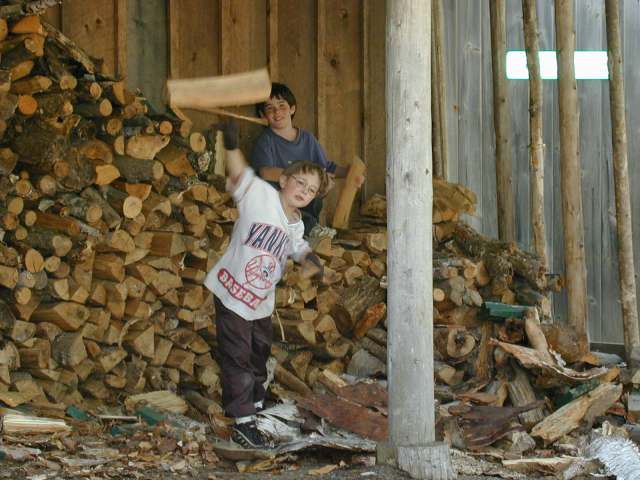 Images/2boys in wood shed.jpg